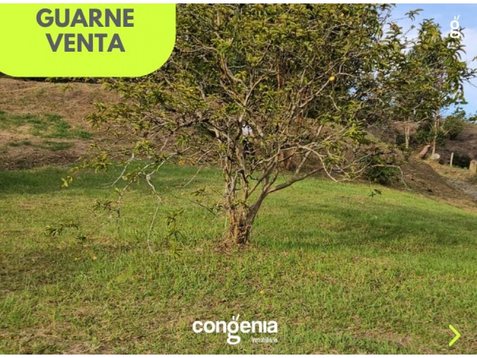 Lote en Venta en Guarne- Santa Elena — foto 6