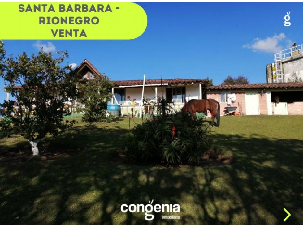 Finca en Venta - Rionegro- Santa Barbara — foto 5