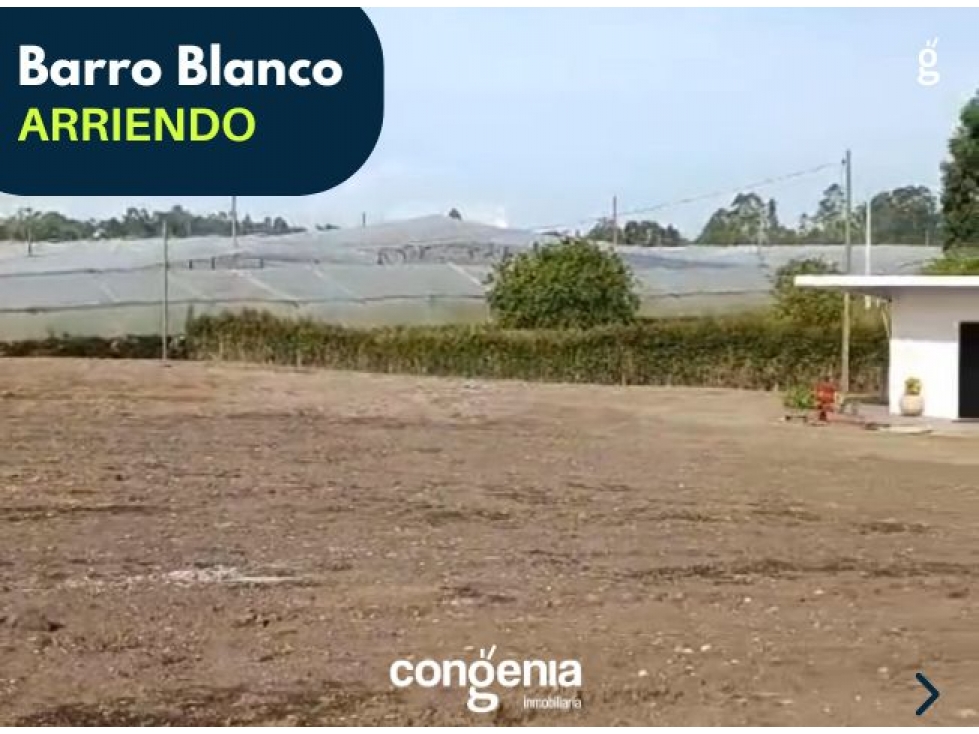 Lote en arriendo- Rionegro- Barro Blanco - 6
