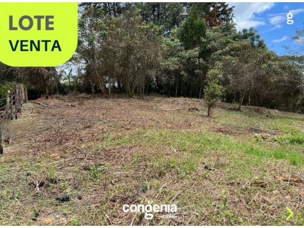 Lote en venta- Rionegro- Vereda los Pinos