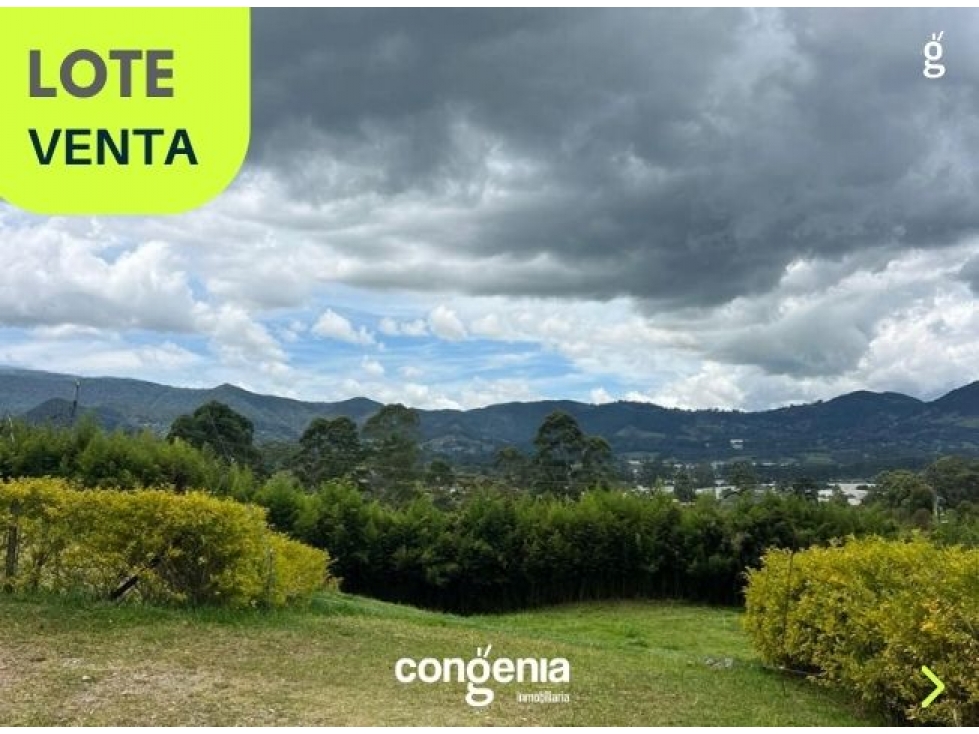 Lotes en venta- La Ceja- Pontezuela