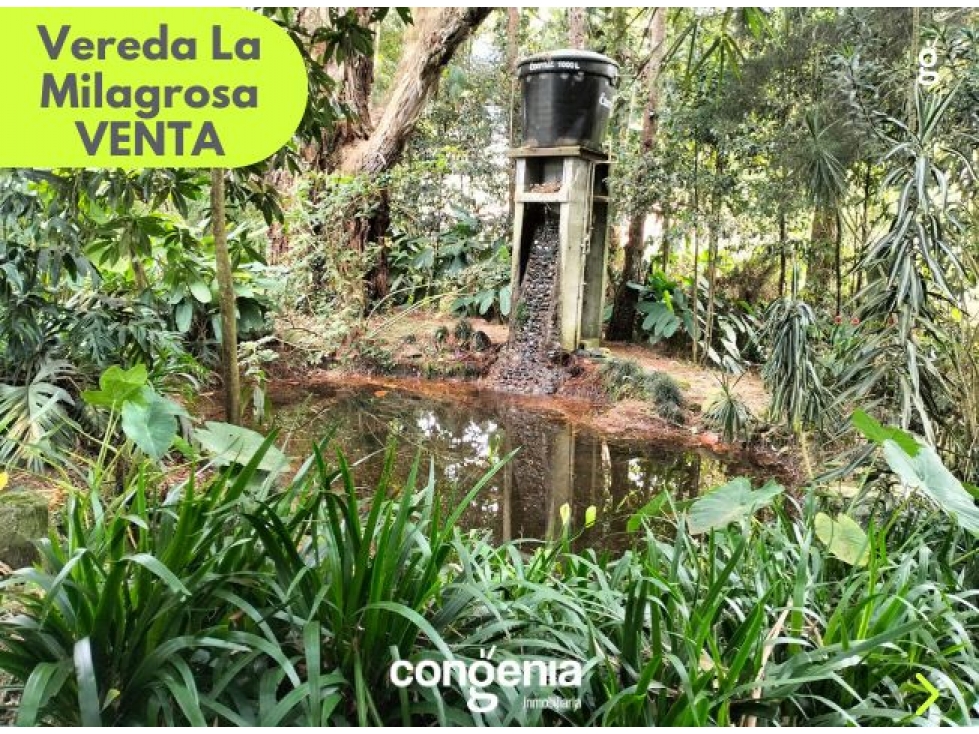 Venta Finca Vereda La Milagrosa El Carmen — foto 6