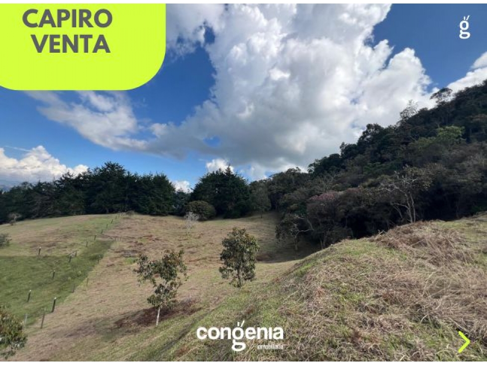 Lote en venta- Rionegro- Capiro — foto 6