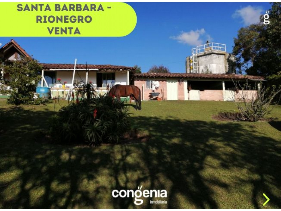 Finca en Venta - Rionegro- Santa Barbara — foto 6