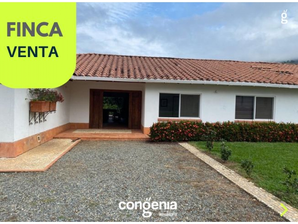 Finca en venta- San Jeronimo- Vereda Quimbayo