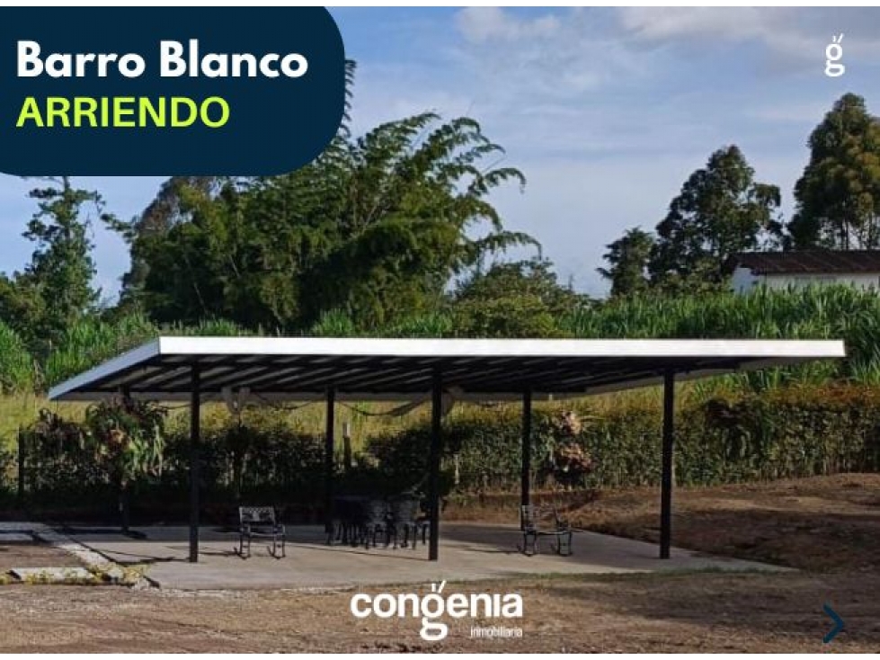 Lote en arriendo- Rionegro- Barro Blanco - 2