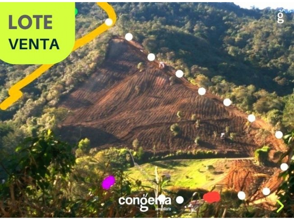 Lote en venta- san Vicente