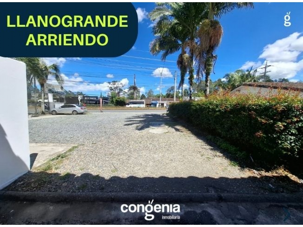 Local en Arriendo- Llanogrande - 6