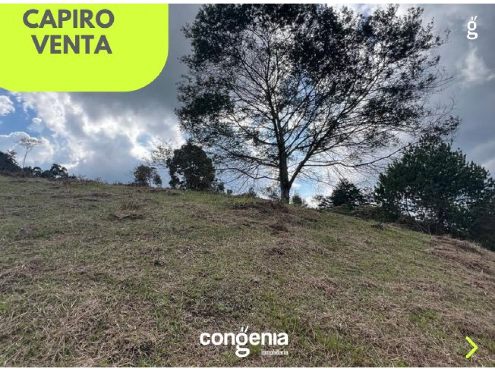 lote en venta en Rionegro- capiro — foto 2