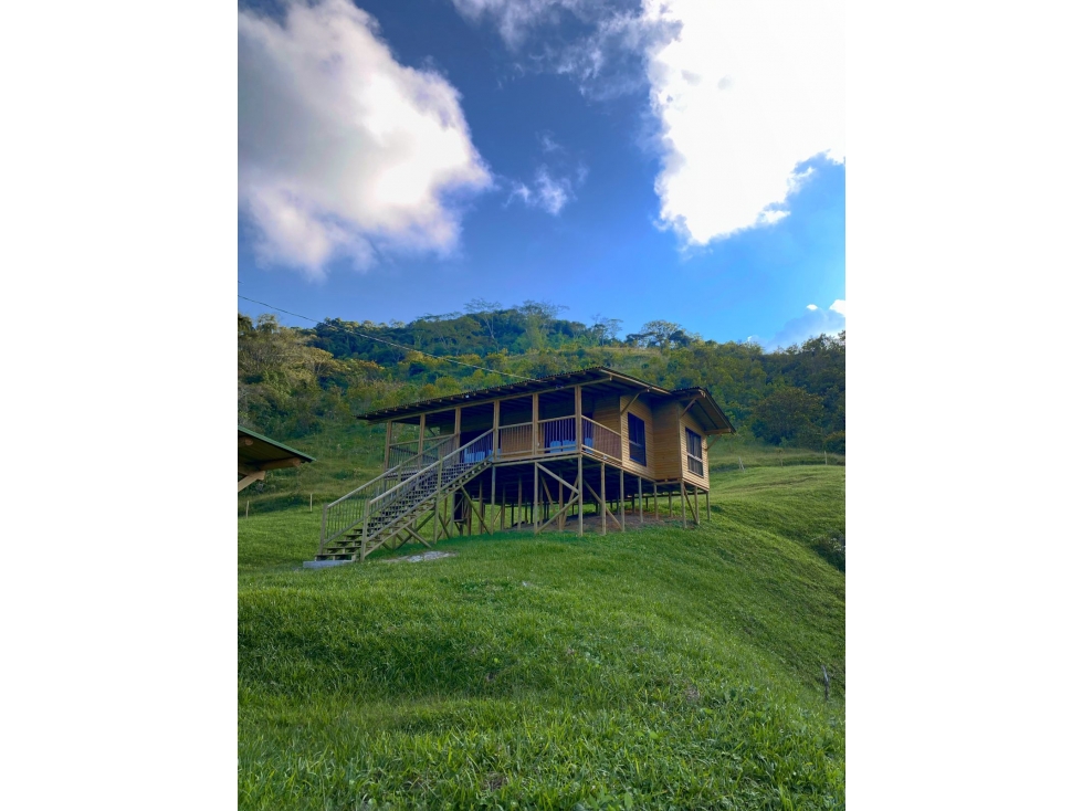 Se VENDE finca con explotación turística (Alejandría Antioquia) - 2