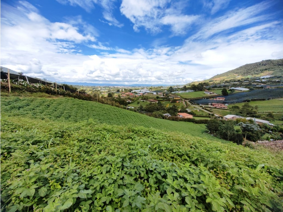 SE VENDE FINCA El Carmen de Viboral (Vereda La Chapa) El Vergel — foto 2