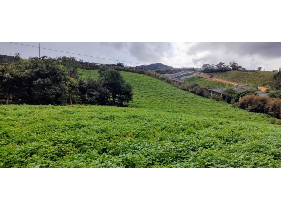 SE VENDE FINCA El Carmen de Viboral (Vereda La Chapa) El Vergel — foto 3