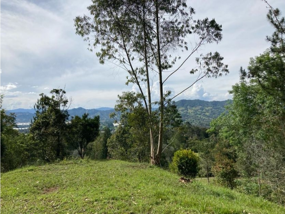 VENDO Lote de 14.650 mts con casa tipo chalet /La Ceja (Ant) — foto 5
