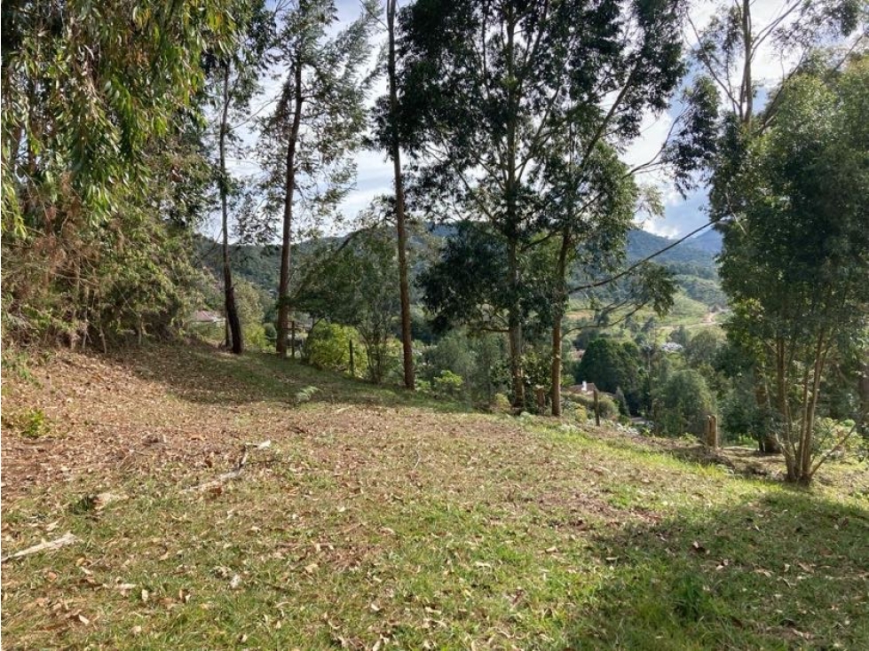 VENDO Lote de 14.650 mts con casa tipo chalet /La Ceja (Ant) — foto 6