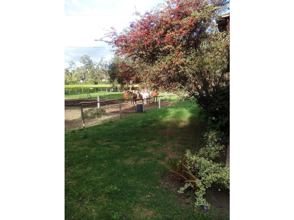 Lote en Vereda Fragua, Chia para Vivienda o uso Institucional