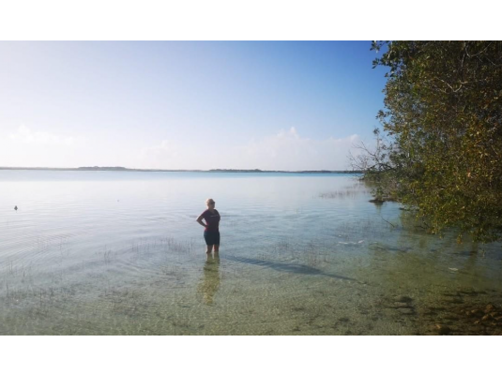 VENTA TERRENO HOTELERO BACALAR - 3