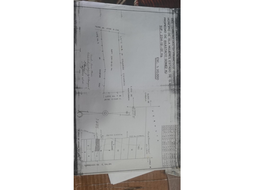 Terreno en venta en zona Agropecuaria 234 hectáreas - Cancún — foto 3