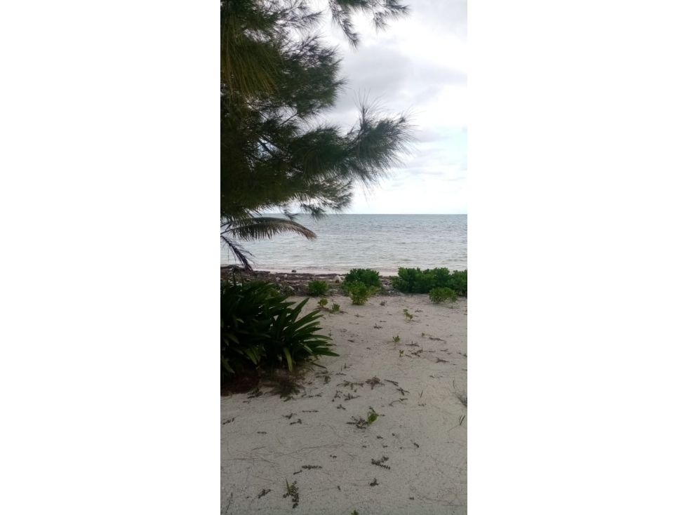 Terreno en Venta Mahahual, Quintana Roo - 6