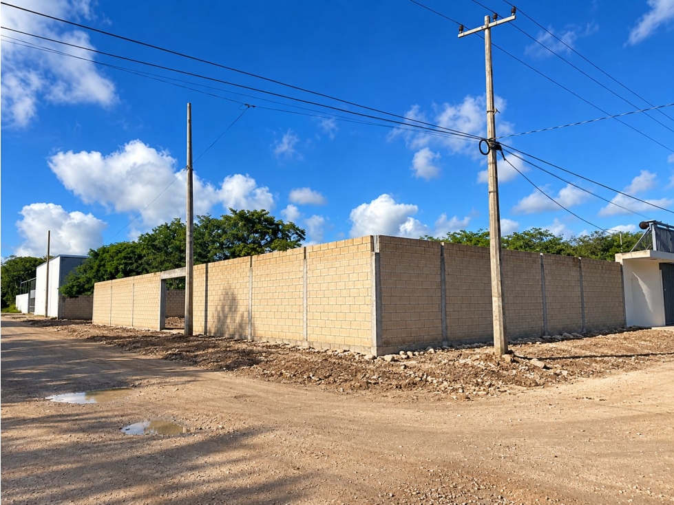 Terreno en renta de 525 m2 en av. Rogelio Castorena - 2