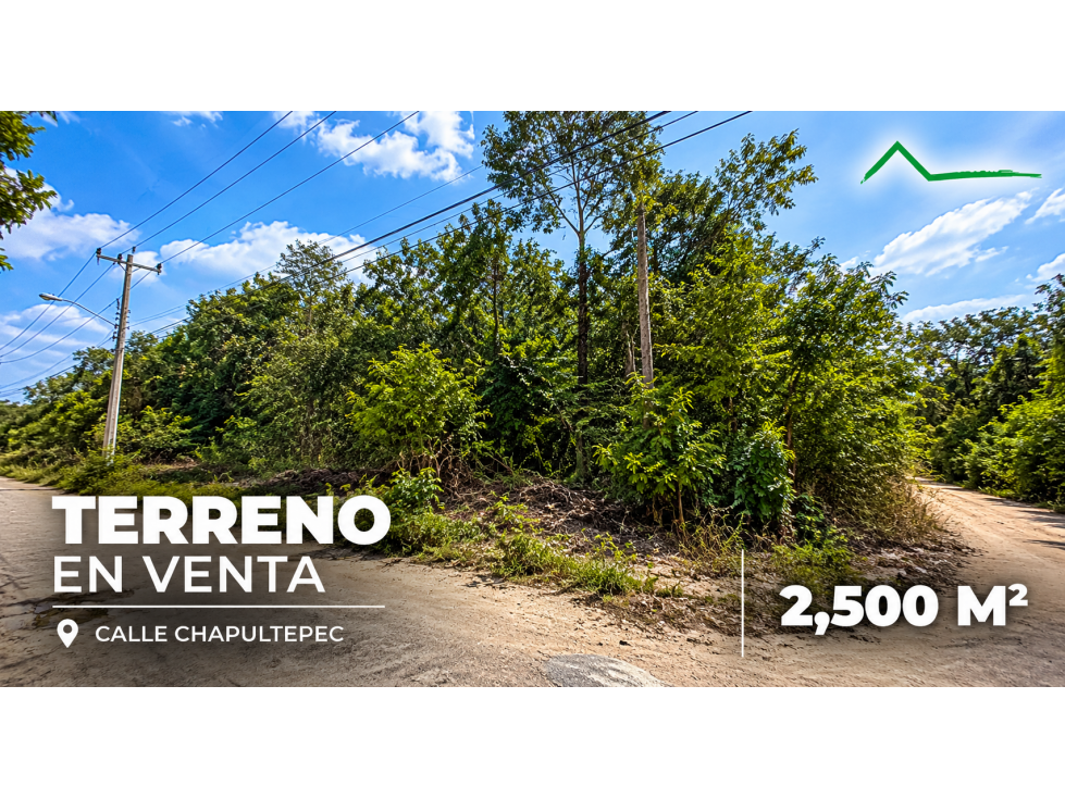 Terreno de 2,500 m2 en venta en Av. Rogelio Castorena, Cancún - 1