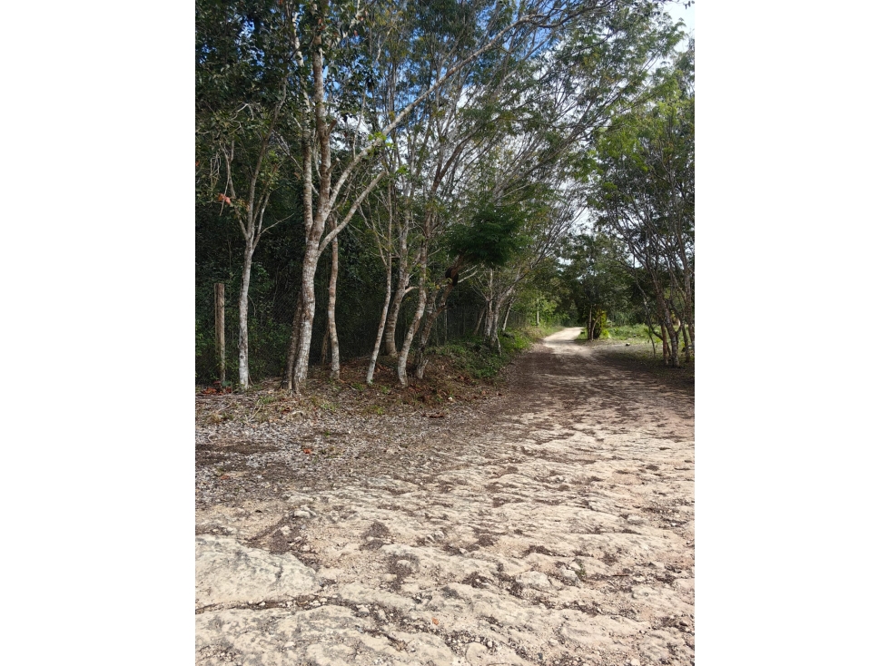 Terreno en Venta Xul-Ha, Quintana Roo - 6