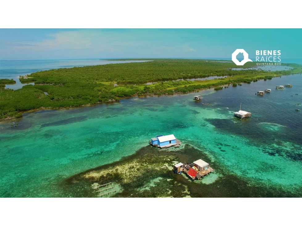 Terreno en Xcalak, Quintana Roo - 1