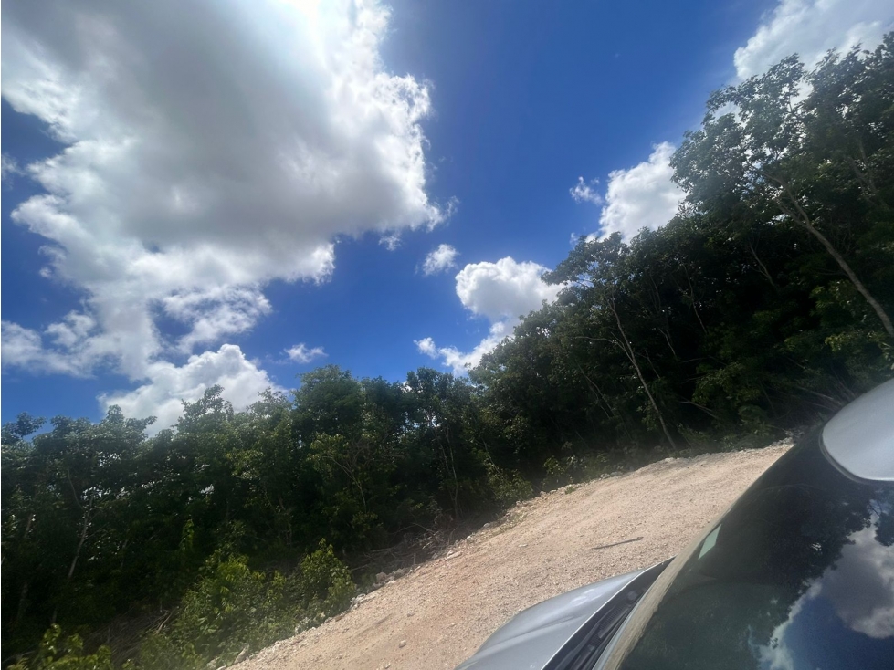Terreno comercial en renta sobre Av. Huayacán, Cancún - 2