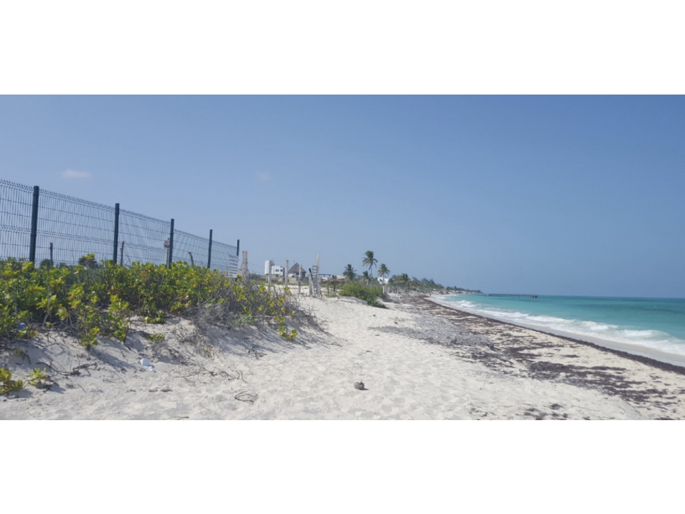 Terreno en venta en Isla Blanca en cancún con acceso a la playa — foto 3