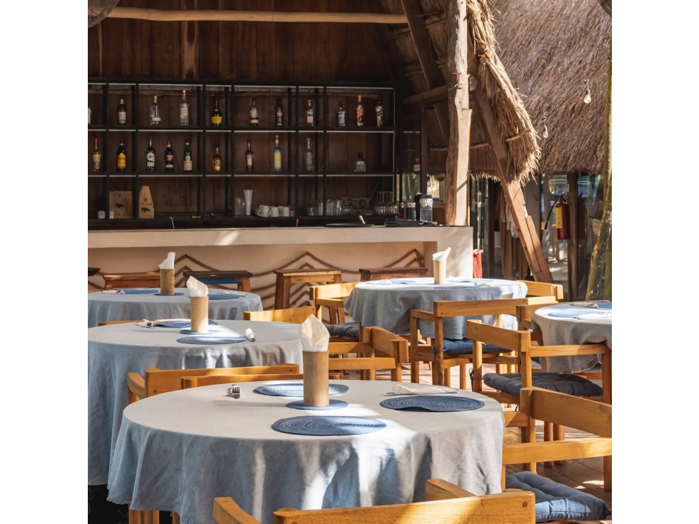 SE renta Local comercial de 88 m² en Aldea Mangle - TULUM - 2
