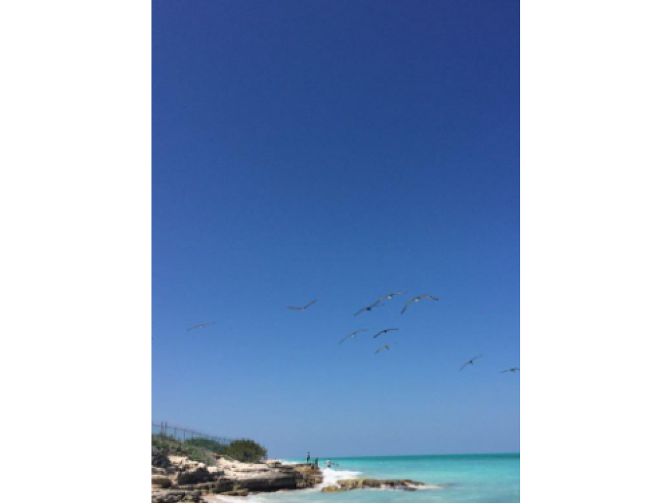 Terreno en Venta Frente al Mar en Isla Blanca, Cancún — foto 3