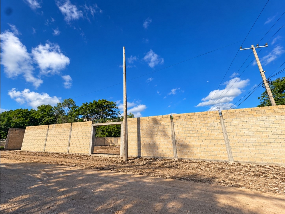 Terreno en renta de 525 m2 en av. Rogelio Castorena - 3