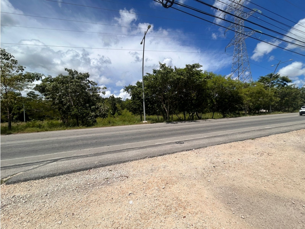 Terreno comercial en renta sobre Av. Huayacán, Cancún - 3