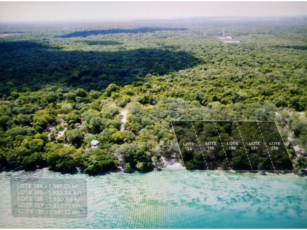 Terreno en Venta 6,000 m² - Bacalar, Quintana Roo - 2