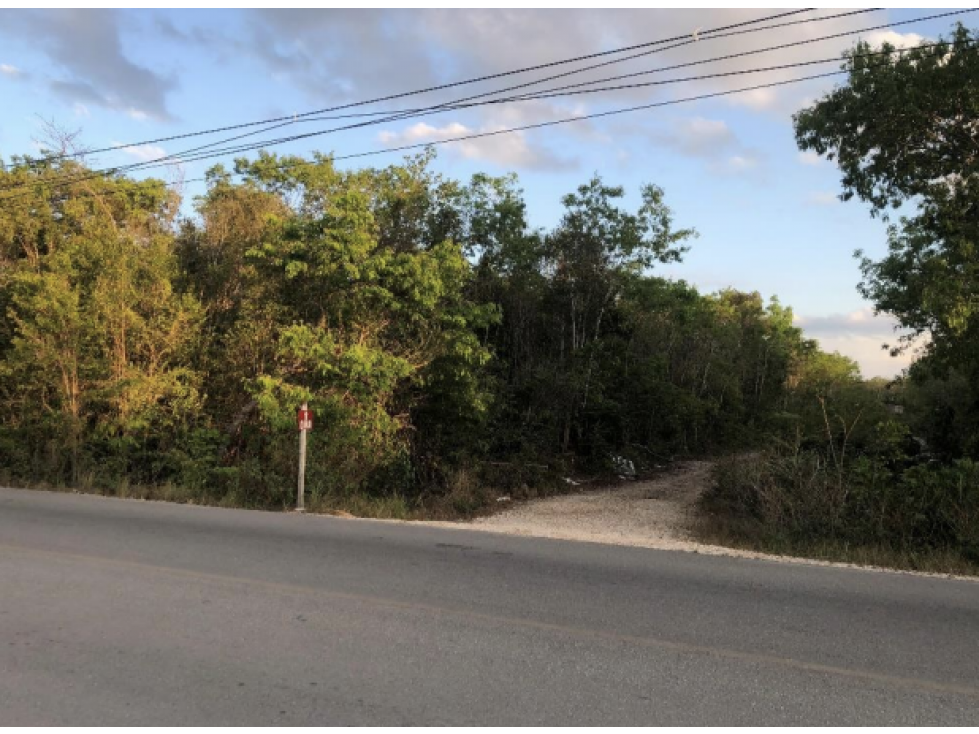 Se vende Terreno de 5,000 m² Av. Rogelio Castorena, Cancún - 3