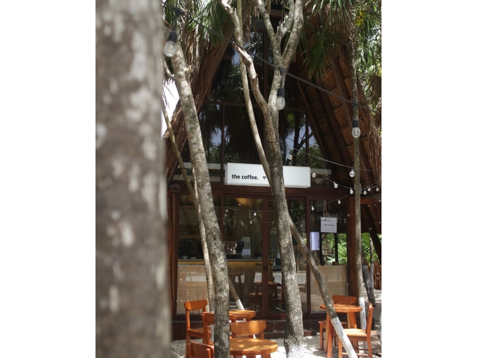 SE renta Local comercial de 88 m² en Aldea Mangle - TULUM - 3
