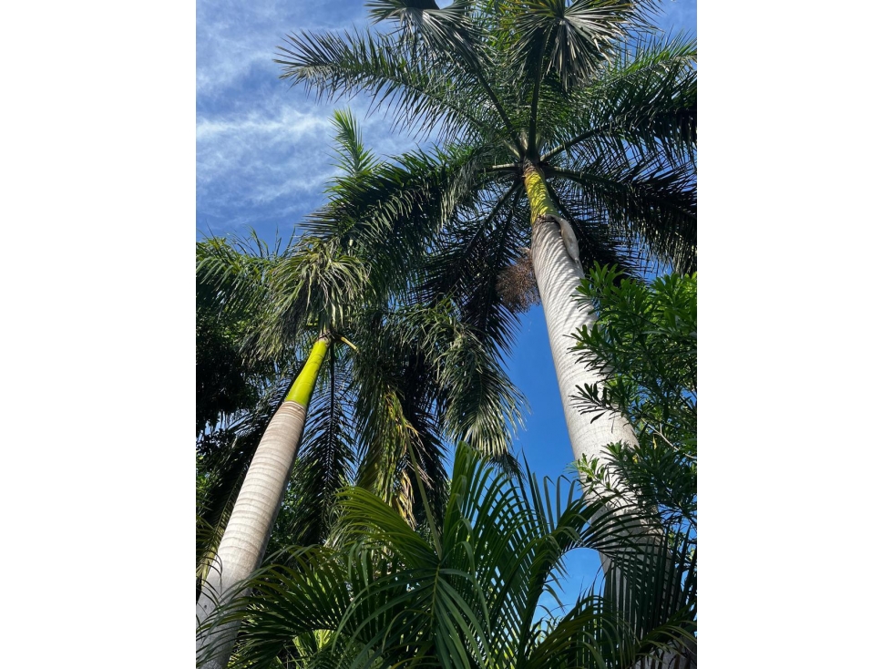 Casa en renta de 330 m2 en Cumbres, Cancún — foto 4