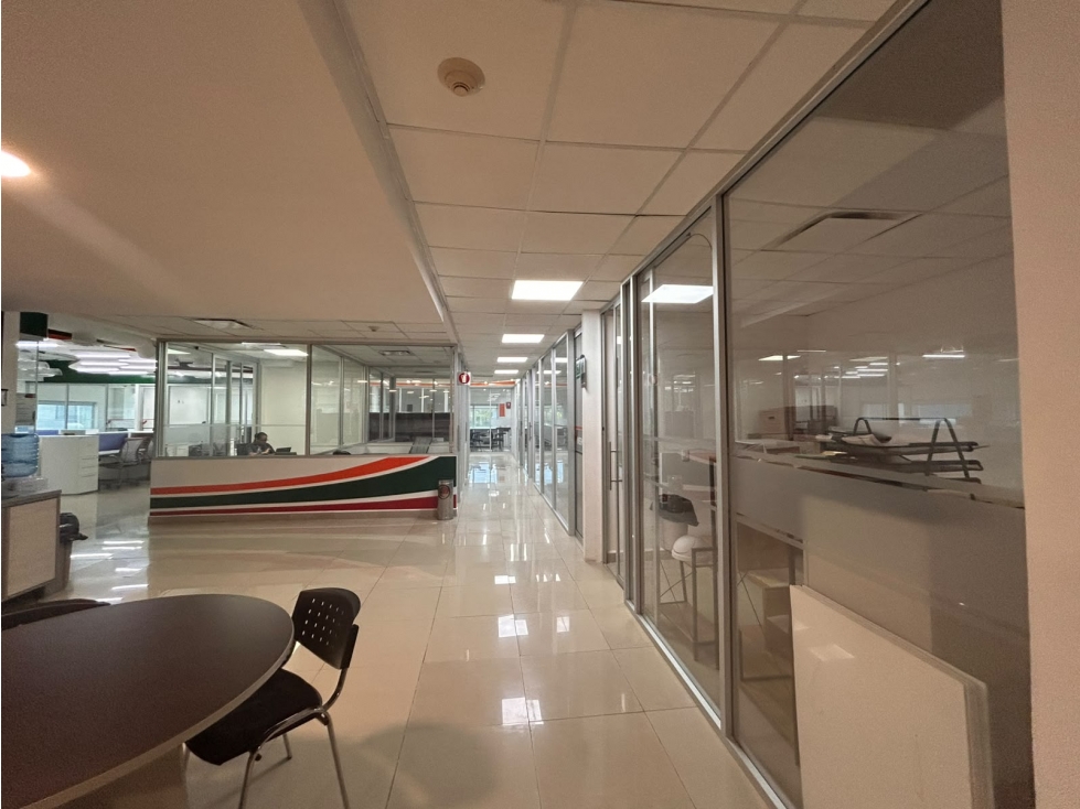 Oficina en renta de 510 m2 en Av. Bonampak, Cancún — foto 4