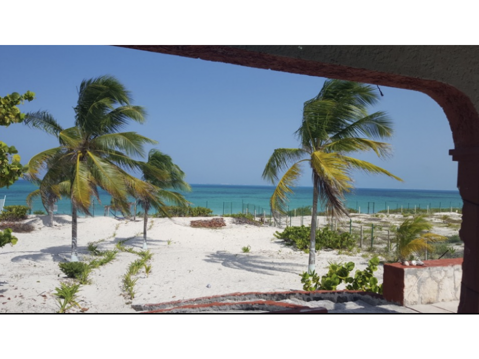 Terreno en venta en Isla Blanca en cancún con acceso a la playa — foto 5