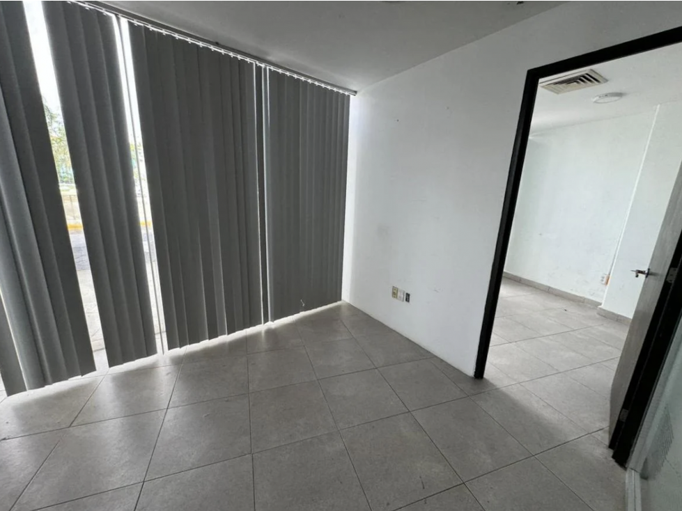 local en renta de 367 m2 en Plaza Hollywood - Cancún — foto 4
