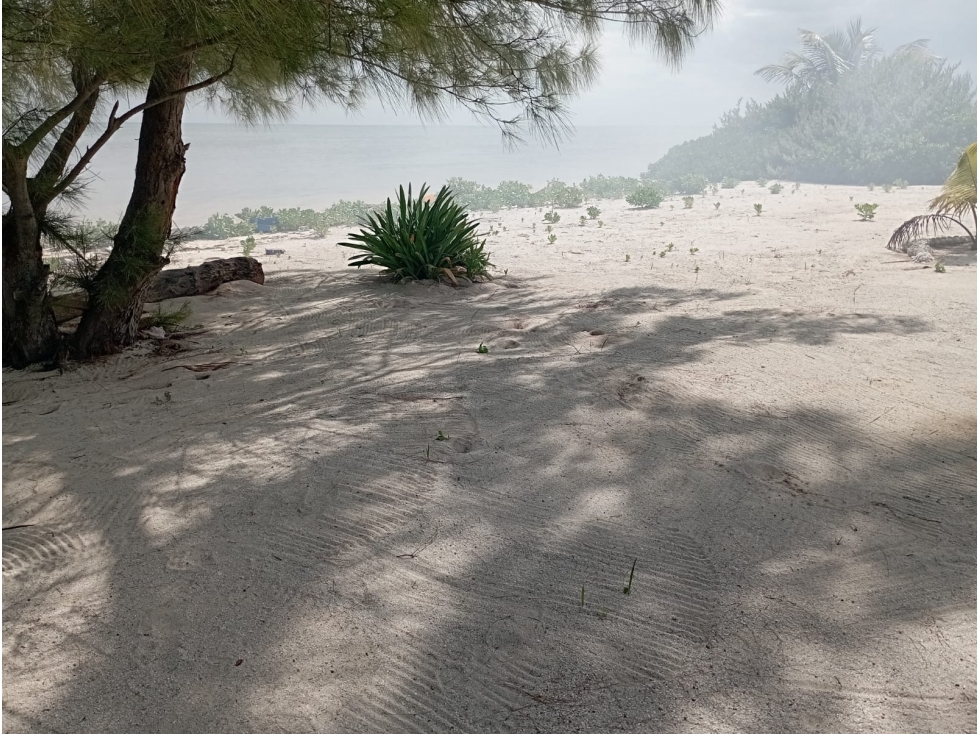 Terreno en Venta Mahahual, Quintana Roo - 5