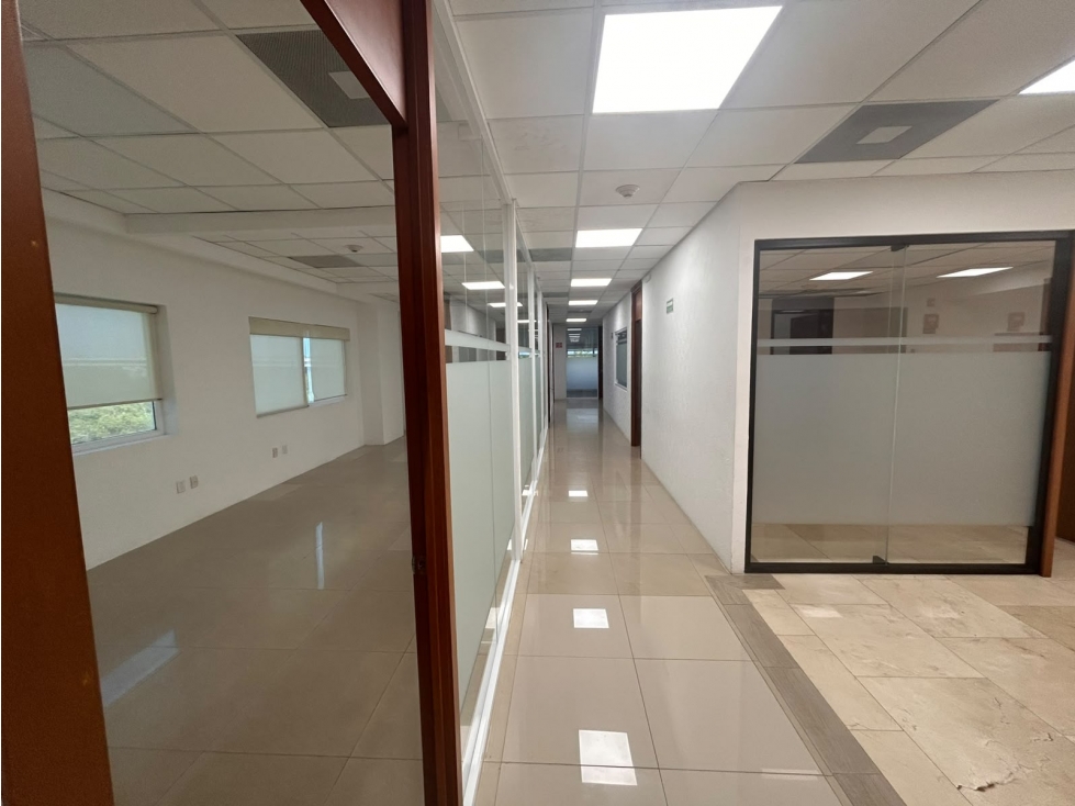 Oficina de 327 m2 en renta con 13 privados en Av. Bonampak, Cancún — foto 5