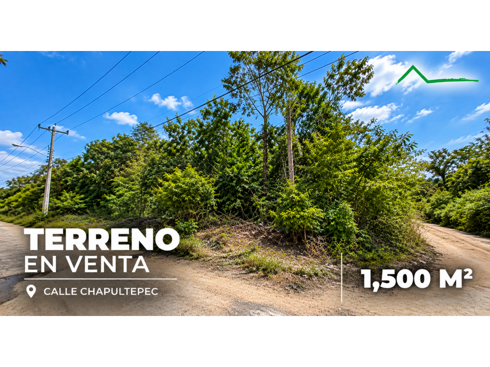 Terreno de 1,500 m2 en venta en Av. Rogelio Castorena, Cancún - 3