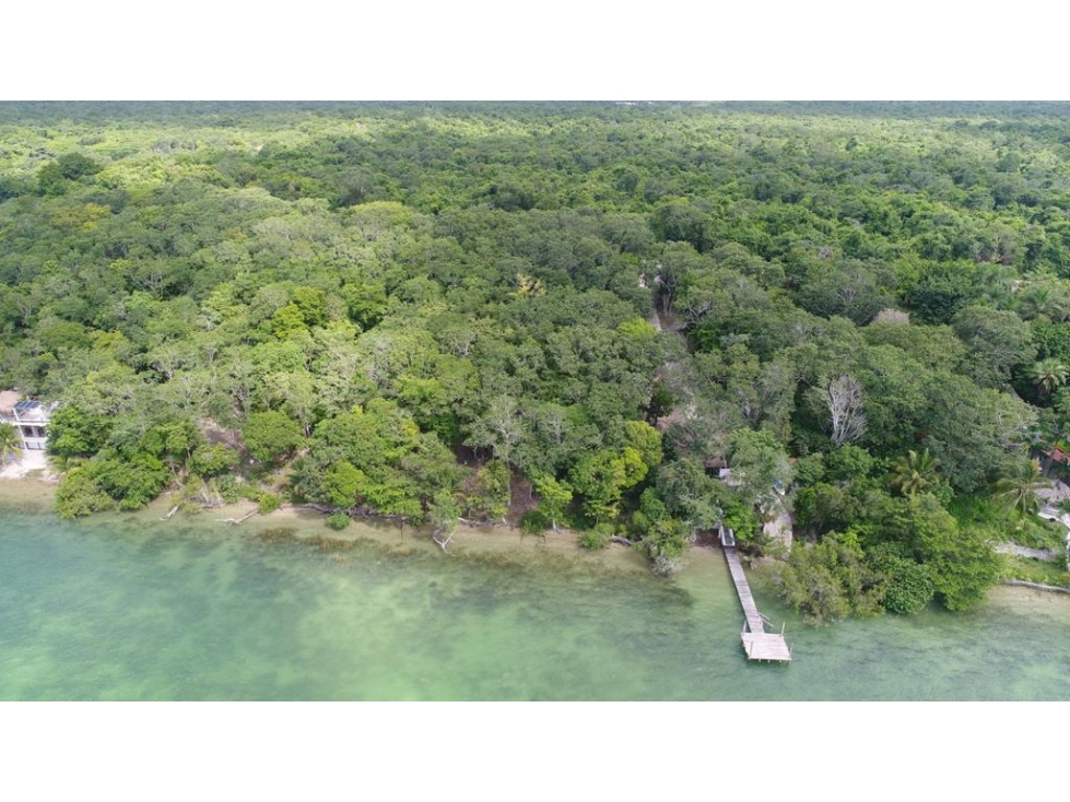 Terreno en Venta 6,000 m² - Bacalar, Quintana Roo - 5