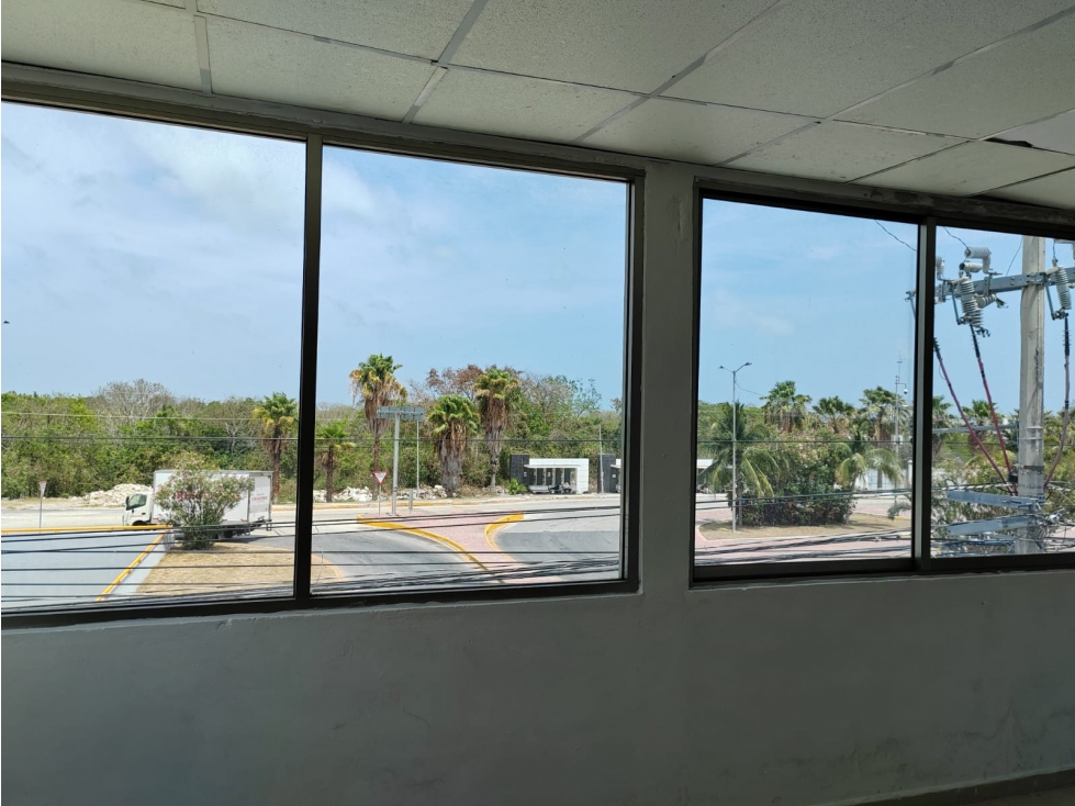 LOCAL Blvd. COLOSIO / DOMINOS Cancún - 6