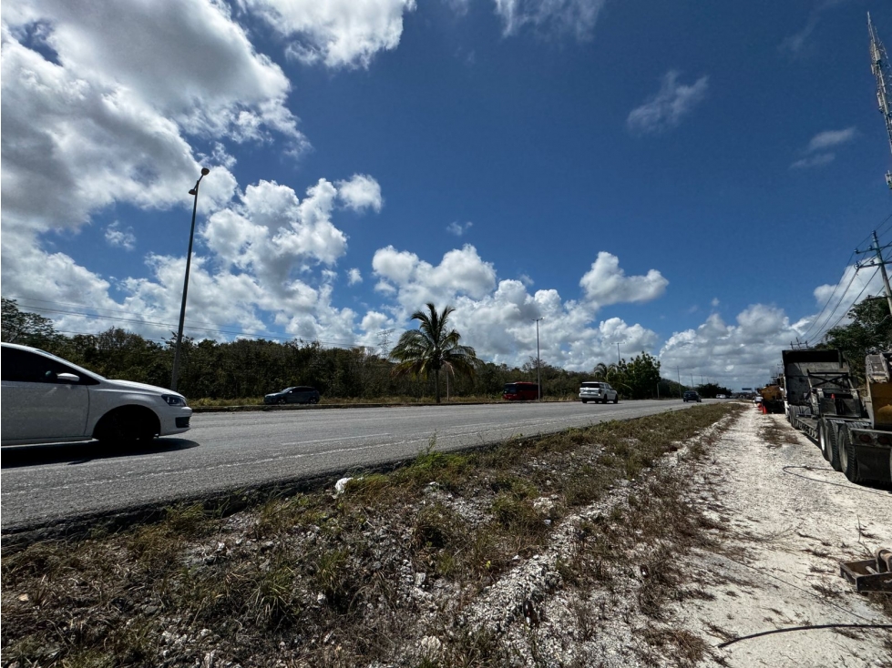 Oportunidad de Inversión 25 Hectáreas Carretera Cancún Puerto Morelos - 5