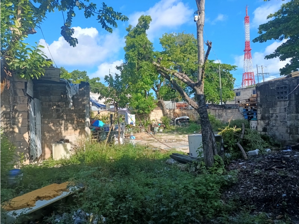 Se renta Terreno / predio en Av. Miguel Hidalgo - Cancún - 6