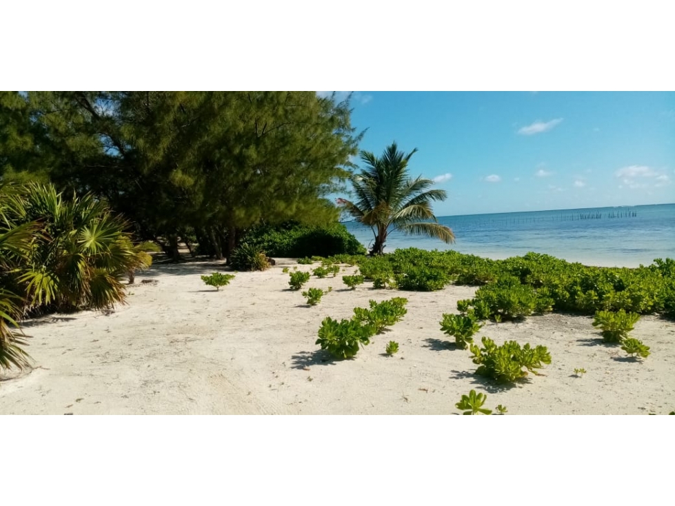 Terreno en Venta Mahahual, Quintana Roo - 4