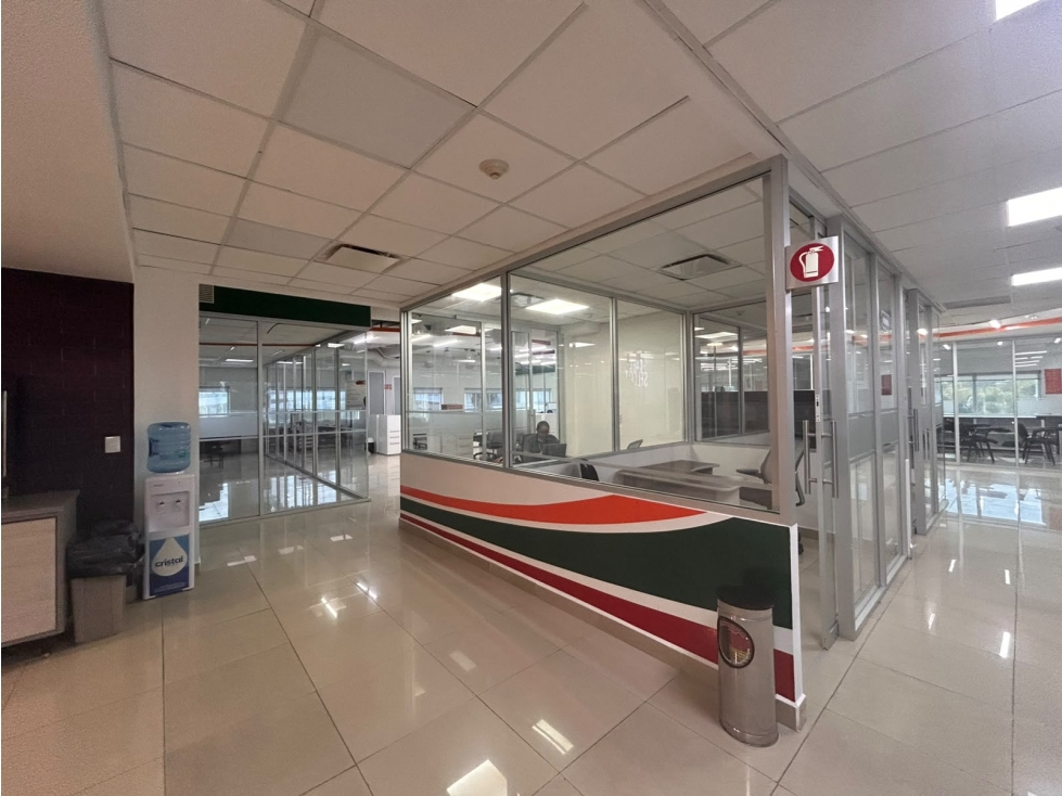 Oficina en renta de 510 m2 en Av. Bonampak, Cancún — foto 6