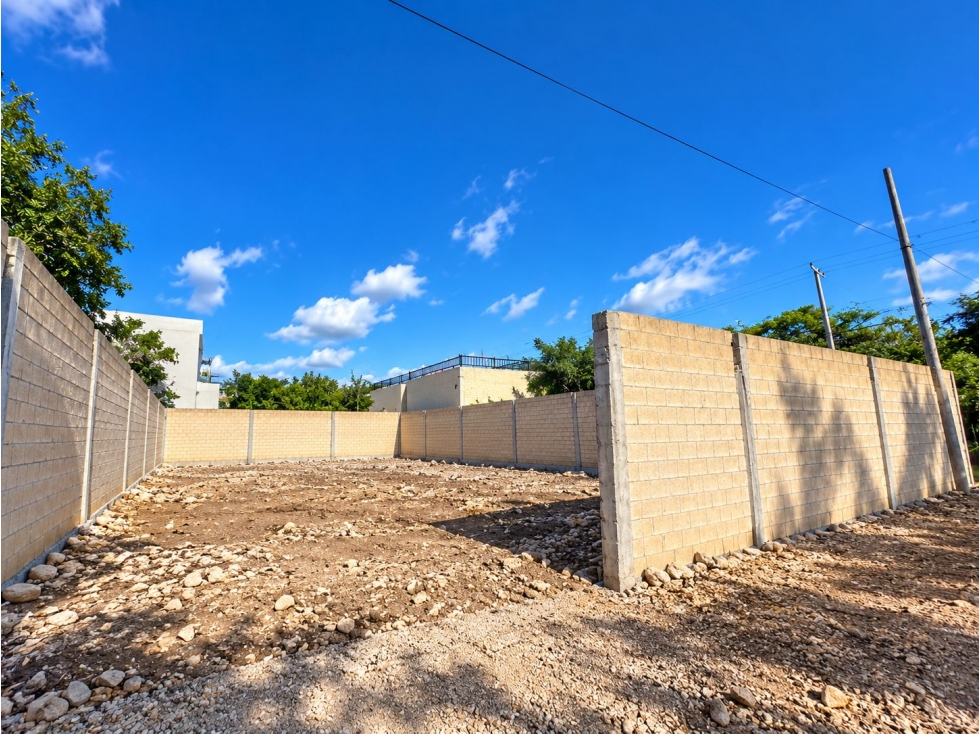 Terreno en renta de 525 m2 en av. Rogelio Castorena - 6