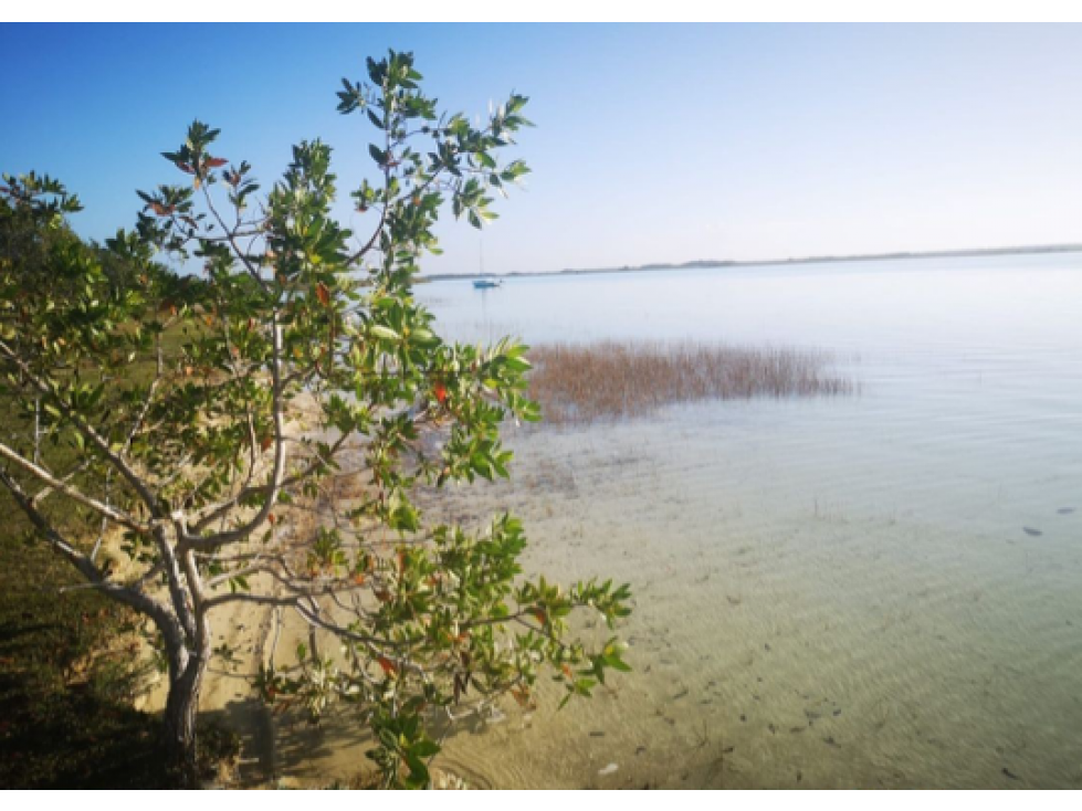 VENTA TERRENO HOTELERO BACALAR - 1